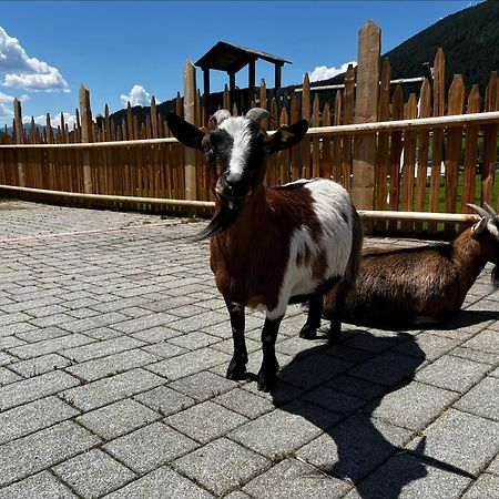 Pichlerhof Lejlighed Planca di Sopra Eksteriør billede