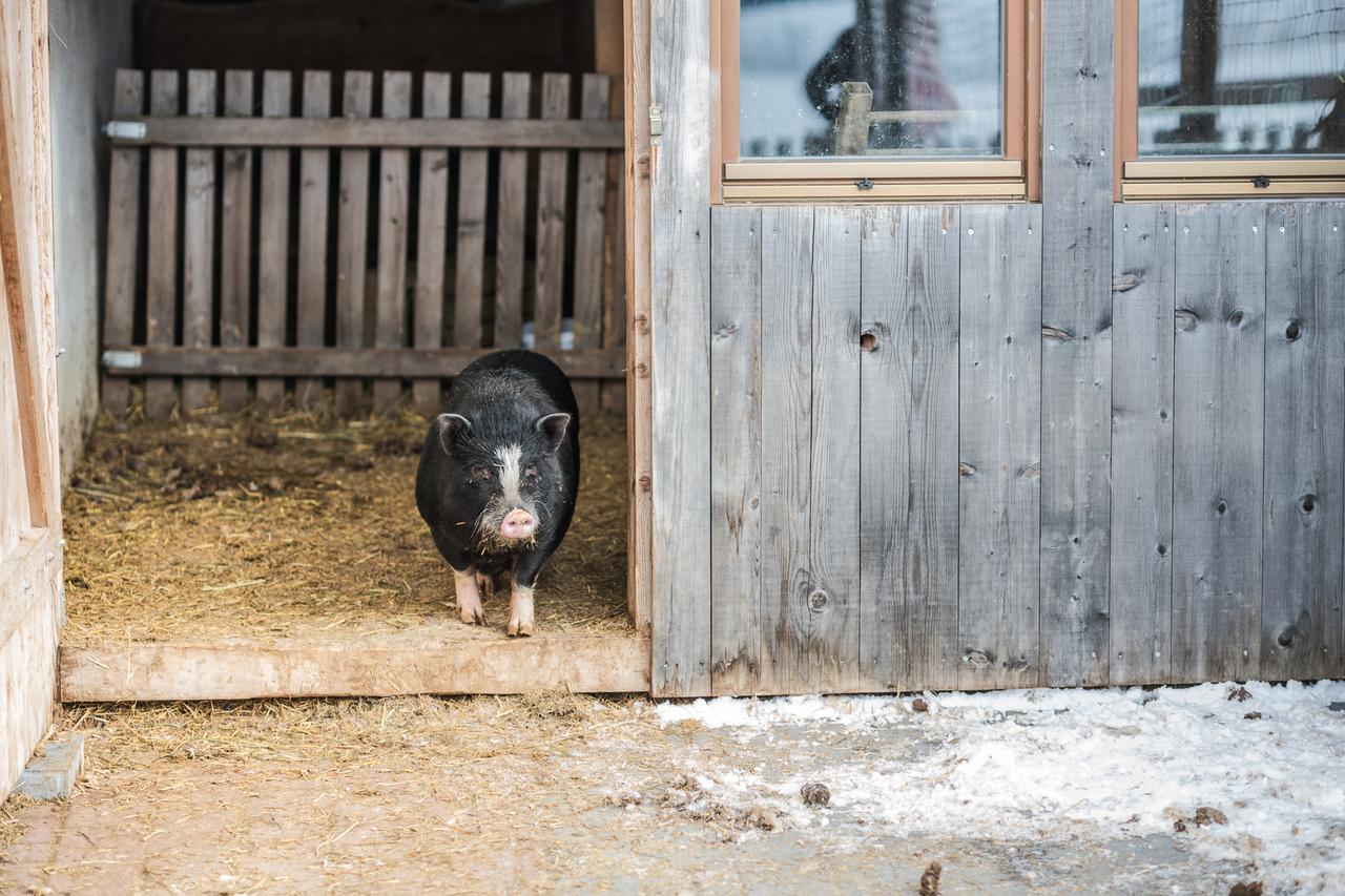 Pichlerhof Lejlighed Planca di Sopra Eksteriør billede