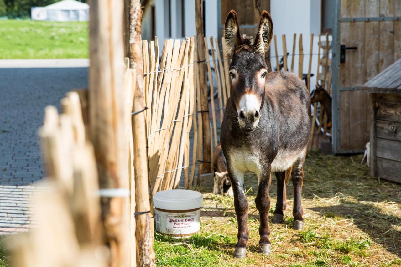 Pichlerhof Lejlighed Planca di Sopra Eksteriør billede